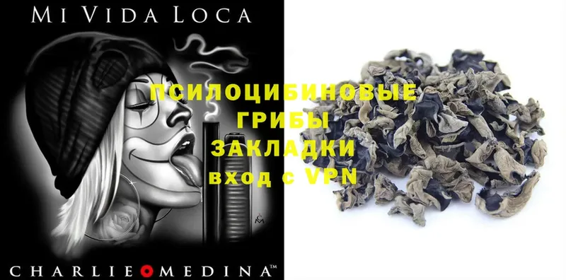 Галлюциногенные грибы Magic Shrooms  как найти закладки  Медынь 